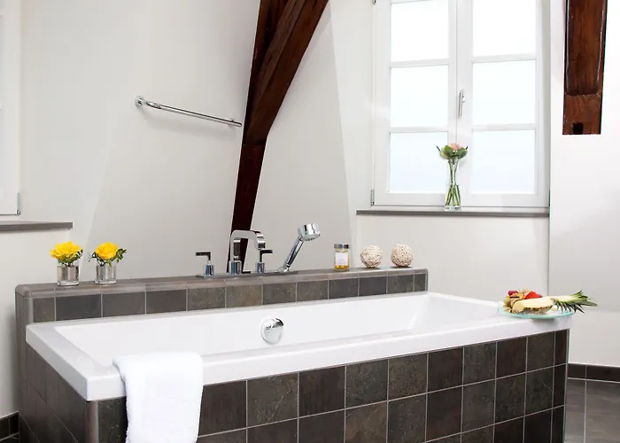 Bergzaberner Hof 4* 바트버그자베른